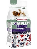 VERSELE-LAGA Complete Crock Berry pochoutka pro hlodavce s npln z lesnch plod, 50g