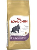 ROYAL CANIN Breed Feline British Shorthair   pro dospl a strnouc Britsk krtkosrst koky, 10kg