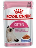 ROYAL CANIN Feline Kitten  kapsiky pro koata (do 12 msc) a bez koky, v el, 85g