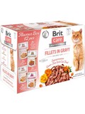 BRIT Care Cat Fillets Gravy Flavour box - box pln lahodnch vbrovch kapsiek s filetkami ve v, 12x85g(nedostupn)
