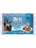 BRIT Premium Cat D Fillets in Gravy Dinner Plate  multipack kapsiek pro koky, ve v, 340g (4x85g)