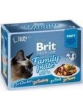 BRIT Premium Cat D Fillets in Gravy Dinner Plate – multipack kapsiček pro kočky, ve šťávě, 1,02kg (12x85g)