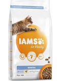 IAMS Cat Adult DNTL Chicken  pro dospl koky, pro zdrav a siln zuby, s erstvm kuecm masem, 10kg