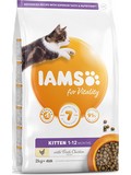 IAMS Cat Kitten Chicken  pro koata, s erstvm kuecm masem, 2kg