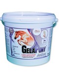 GELAPONY Arthro, 900g