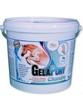 GELAPONY Chondro HYAL, 900g