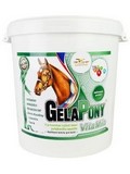 GELAPONY VitaMin, 900g