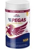 VITAR Veterinae ArtiVit Pegas MSM, 720g