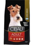 CIBAU Dog Adult Mini - pro dospl psy malch plemen, kuec s r,  800g 