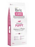 BRIT CARE Dog Grain-free Puppy Salmon & Potato - losos s bramborem pro tata a mlad psy vech plemen, bez obil, 1kg
