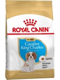 ROYAL CANIN Breed Cavalier King Charles Puppy/Junior  pro tata King Charles kavalra, 1,5kg