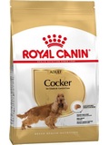 ROYAL CANIN Breed Cocker  pro kokrpanla, 3kg