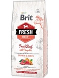 BRIT Dog Fresh Beef & Pumpkin Puppy Large  pro tata velkch plemen, s hovzm a dn, 12kg