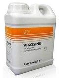 VIGOSINE - rostlinn extrakty pro podporu chuti a pjmu energie, 5l
