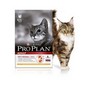 PRO PLAN Cat Adult Chicken  pro dospl koky, s kuecm masem, 10kg