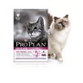 PRO PLAN Cat Delicate Turkey  pro dospl koky, s lososem, 1,5kg