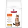 HILL'S Feline Dry SP Adult Chicken – pro dospělé kočky, s kuřetem, 10kg
