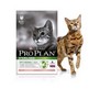 PRO PLAN Cat Sterilised Salmon   – pro kastrované či sterilizované kočky, s lososem, 10kg