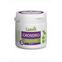 CANVIT Chondro  pro regeneraci kloub a zlepen pohyblivosti, 100g 