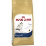 ROYAL CANIN Breed Feline Ragdoll  pro dospl a strnouc plemene Ragdoll, 2kg