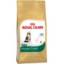 ROYAL CANIN Breed Feline Kitten Maine Coon   pro koata a bez nebo kojc Mainsk mval koky, 10kg