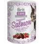 BRIT CARE Cat Snack Superfruits Salmon - křupavý pamlsek s lososem, šípkem a brusinkami, 100g