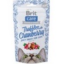 BRIT CARE Cat Snack Truffles Cranberry - kupav a avnat poltky s brusinkami, 50g