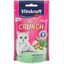 VITAKRAFT Cat Crispy Crunch dental - tyinky s lososem a pstruhem, 60g