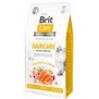 BRIT CARE Cat GF Haircare Healthy&Shiny Coat  pro dospl koky s dlouhou srst, s lososem a kuecm masem, 2kg