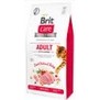 BRIT CARE Cat GF Adult Activity Support  pro venkovn a velmi aktivn dospl koky, s krocanm a kuecm masem, 2kg