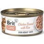 BRIT Care Cat konzerva Fillets Breast&Rice - kuec prsa s r, 70g