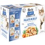 BRIT CARE Cat Fillets in Jelly Flavour box - mix kapsiček ve 4 příchutích pro kočky, 12x85g 
