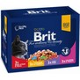 BRIT Premium Cat Family Plate  multipack kapsiek pro koky, 1200g (12x100g)