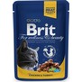 BRIT Premium Cat with Chicken & Turkey  kapsika pro koky, s krocanem a kuecm, 100g 