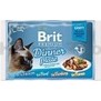 BRIT Premium Cat D Fillets in Gravy Dinner Plate  multipack kapsiek pro koky, ve v, 340g (4x85g)