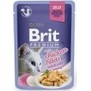 BRIT Premium Cat D Fillets in Jelly with Chicken  kapsiky pro koky v el, s kuetem, 85g