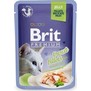 BRIT Premium Cat D Fillets in Jelly with Trout  kapsiky pro koky v el, se pstruhem, 85g