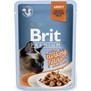 BRIT Premium Cat D Fillets in Gravy With Turkey  kapsiky pro koky ve v, s krocanem, 85g