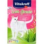 VITAKRAFT Cat Gras Refill – semínka trávy pro kočky, 50g