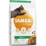 IAMS Cat Adult Lamb  pro dospl koky , s jehnm masem, 10kg