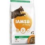 IAMS Cat Adult Salmon  pro dospl koky, s lososem, 2kg