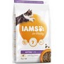 IAMS Cat Kitten Chicken  pro koata, s erstvm kuecm masem, 10kg