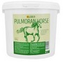 PULMORAN Horse aj Leros - bylinn prdukov sms, 1300g