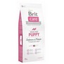 BRIT CARE Dog Grain-free Puppy Salmon & Potato - losos s bramborem pro tata a mlad psy vech plemen, bez obil, 12kg