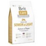 Brit Care Dog Grain-free Senior&Light Salmon, 12kg