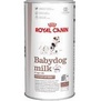 ROYAL CANIN Babydog Milk mlko krmn, 400g