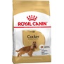 ROYAL CANIN Breed Cocker  pro kokrpanla, 3kg