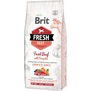 BRIT Dog Fresh Beef & Pumpkin Puppy Large  pro tata velkch plemen, s hovzm a dn, 12kg