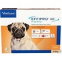 EFFIPRO DUO Dog S spot-on pro mal psy (2-10kg) 67/20 mg, 4x0,67ml