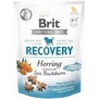 BRIT CARE Dog Functional Snack Recovery Herring  se sledm a rakytnkem, 150g